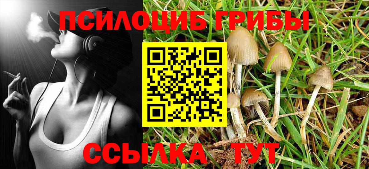 Галлюциногенные грибы Psilocybe  Вход с VPN  Грозный 
