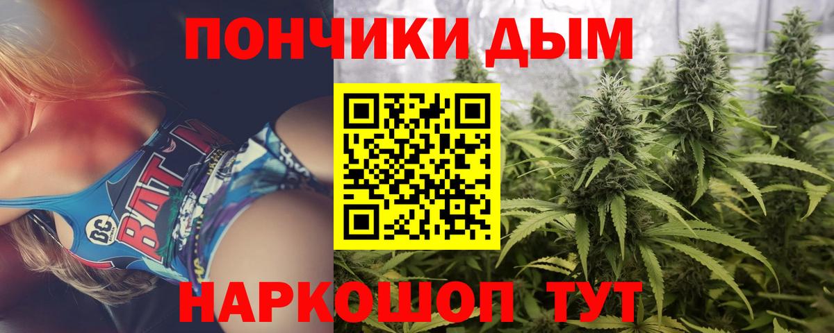 Канабис гибрид Грозный